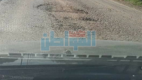 المواطن
