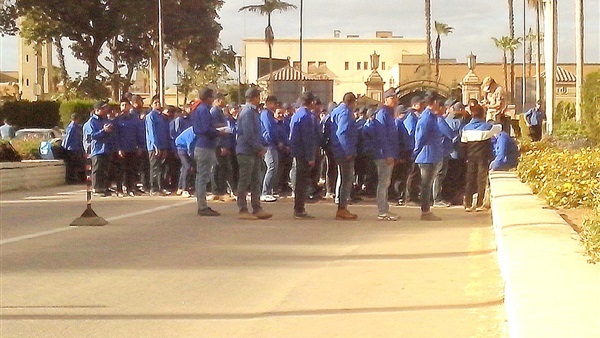 أرشيفية