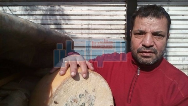 جبن رومي فاسد