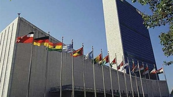  المنظمة الدولية