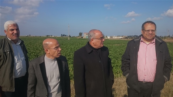 المهندس محمد أبوالفتوح