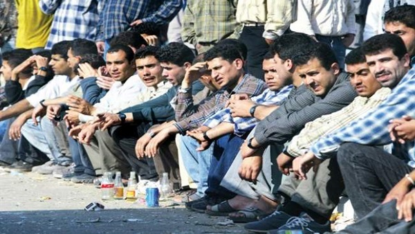 المواطن