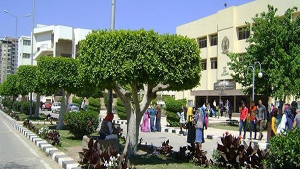 جامعة المنصورة