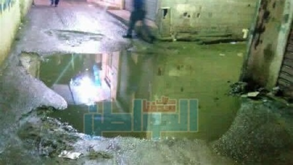 المواطن