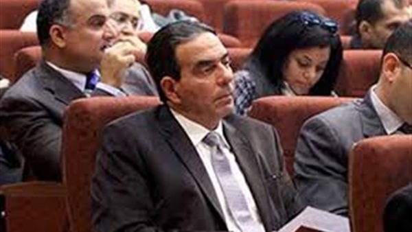 النائب أيمن أبو العلا