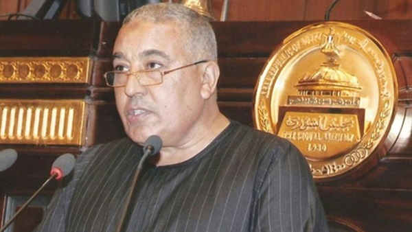 النائب سيد أحمد