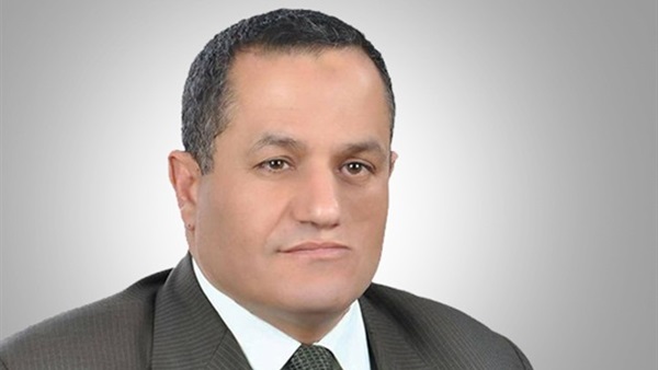 النائب عمرو حمروش،