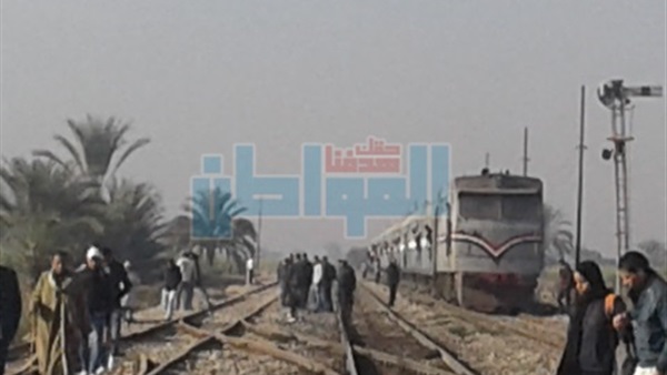 المواطن