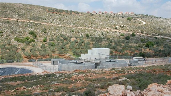 أرشيفية 
