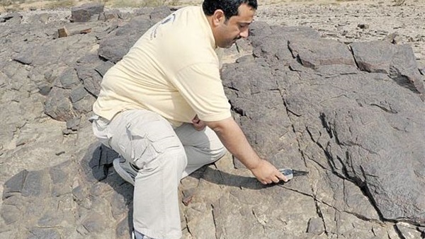 أرشيفية