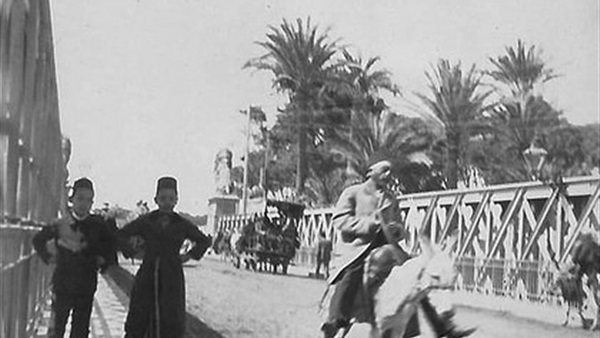 المواطن