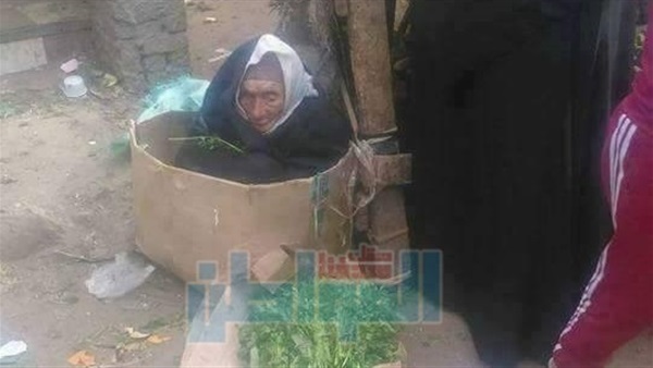 المواطن