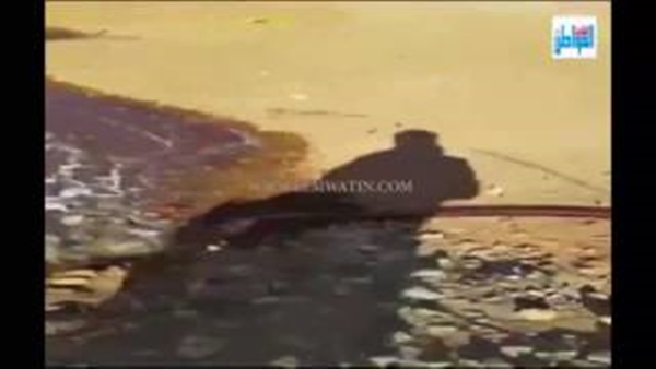 المواطن