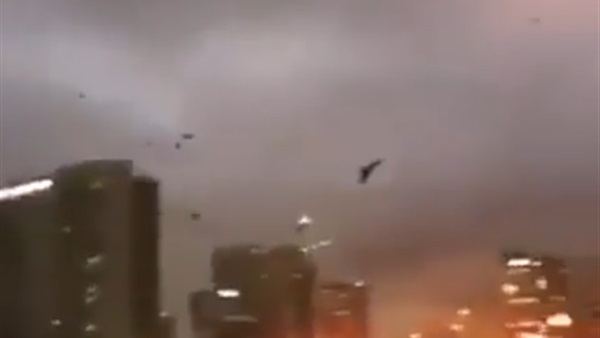 المواطن