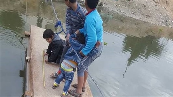المواطن