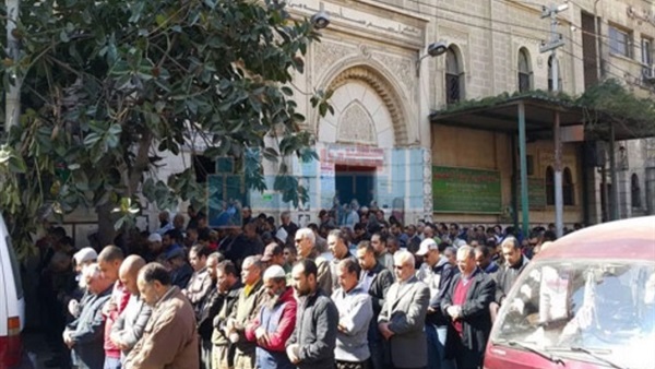 المواطن