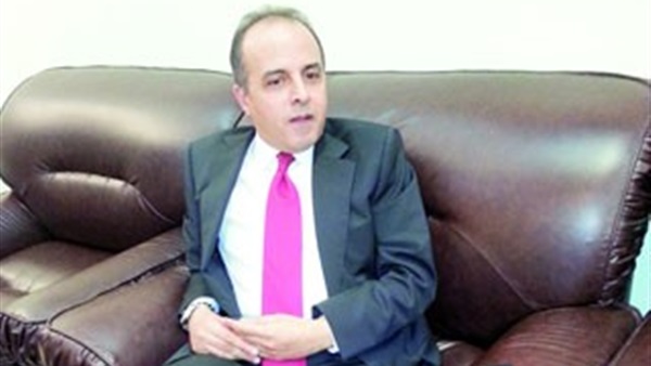 وائل جاد السفير المصري