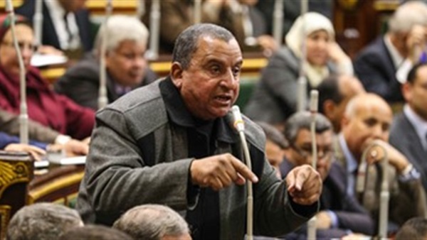 النائب عبد الحميد