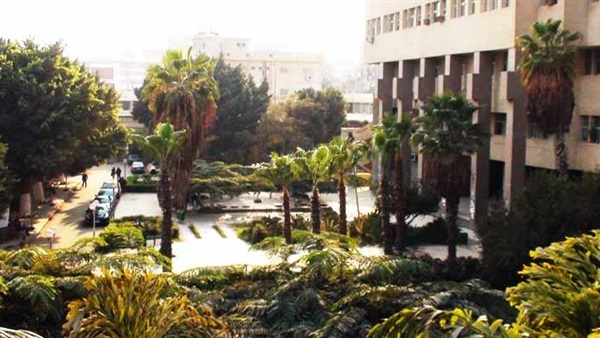 أرشيفية
