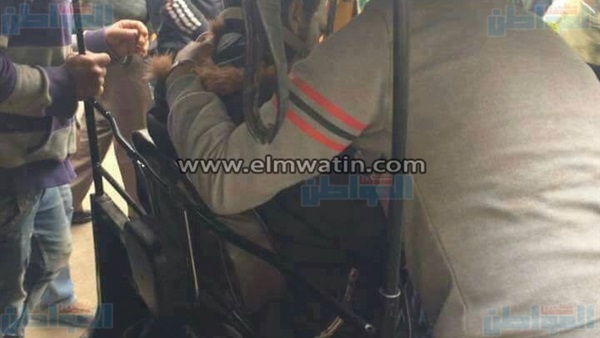 المواطن