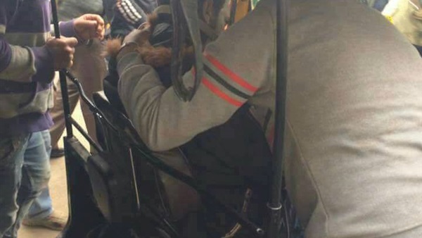 المواطن