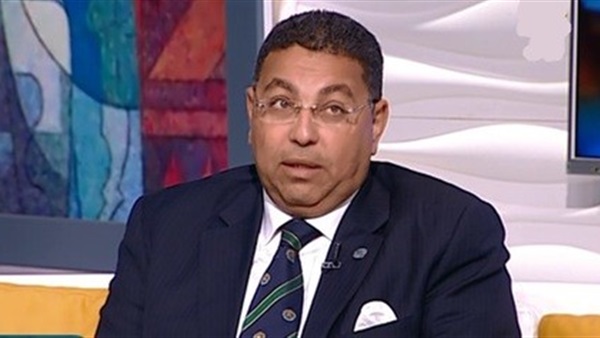 وليد البطوطي، مستشار