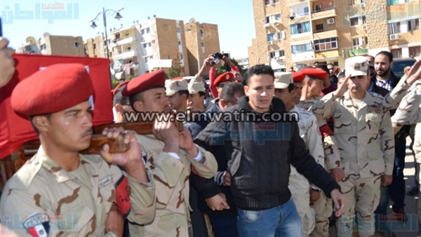 المواطن