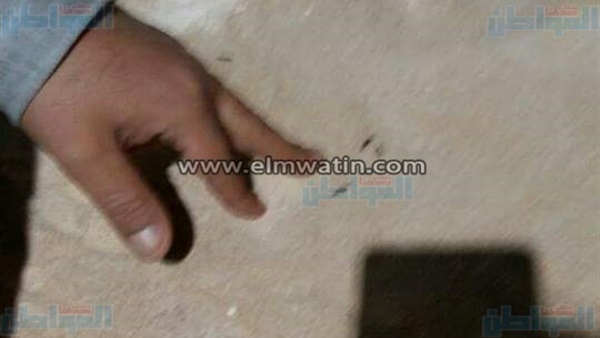 المواطن