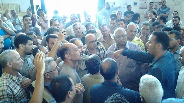 المواطن