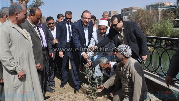 المواطن