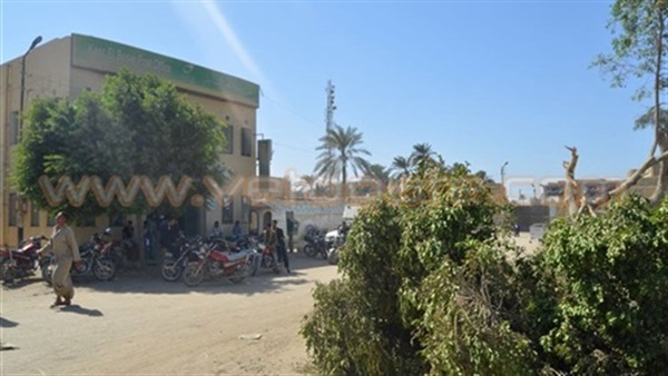 المواطن