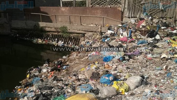 أهالي الإسكندرية
