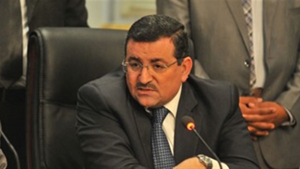 النائب أسامة هيكل