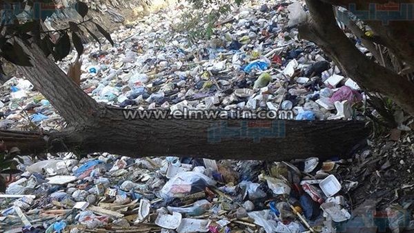مخلفات ترعة الزيتون