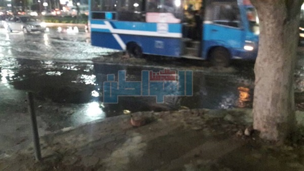 المواطن