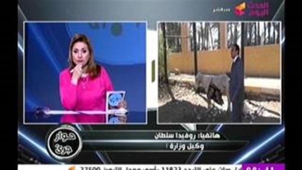 المواطن