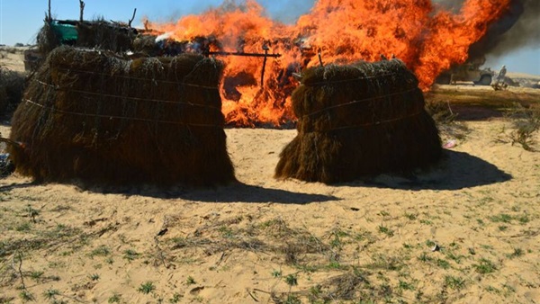 أرشيفية