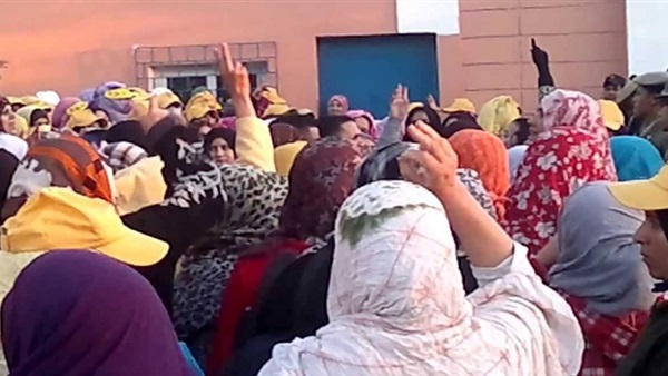 المواطن