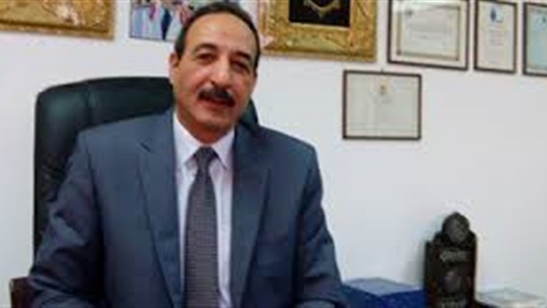رضا الغندور