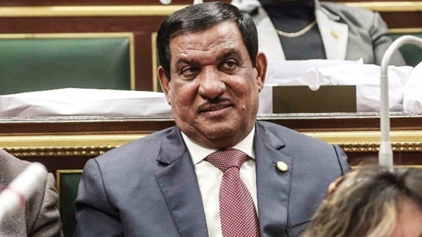 النائب حمدي السيسي