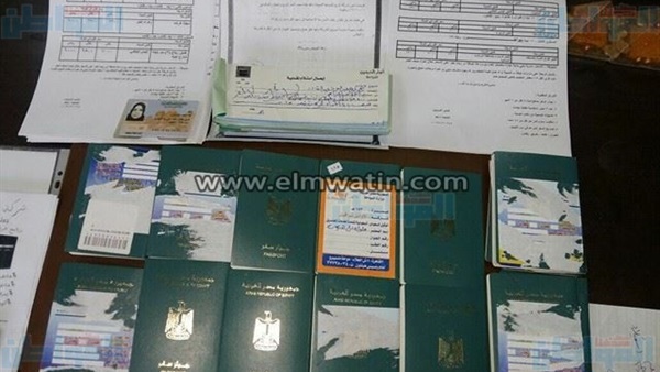 المواطن