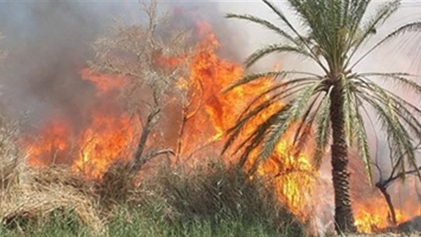 صورة ارشيفية