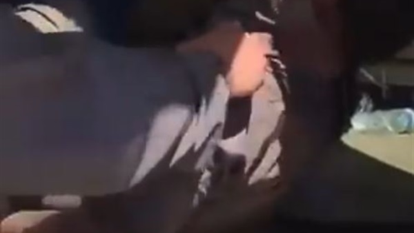 المواطن