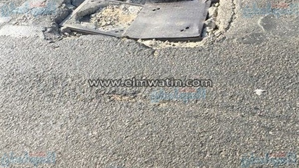 المواطن