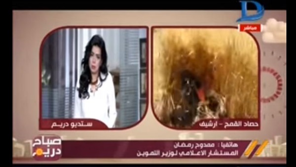 المواطن