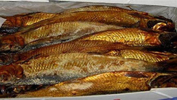 رنجة - أرشيفية