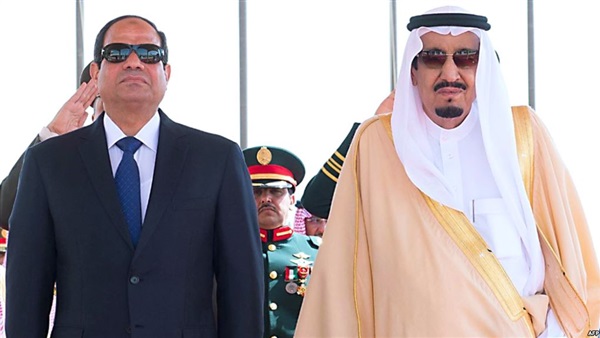 المواطن