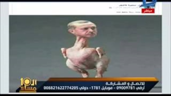 المواطن