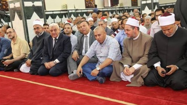 بالصور.. محافظ المنوفية