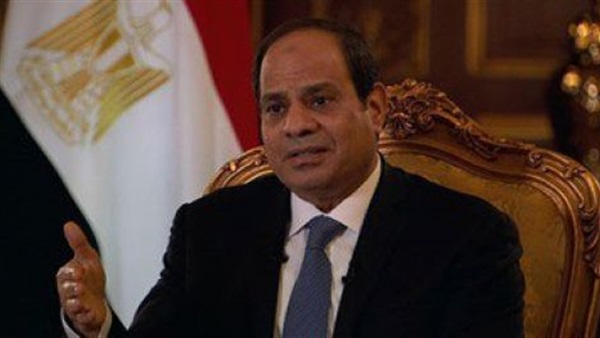 السيسي: الأجهزة الرقابية